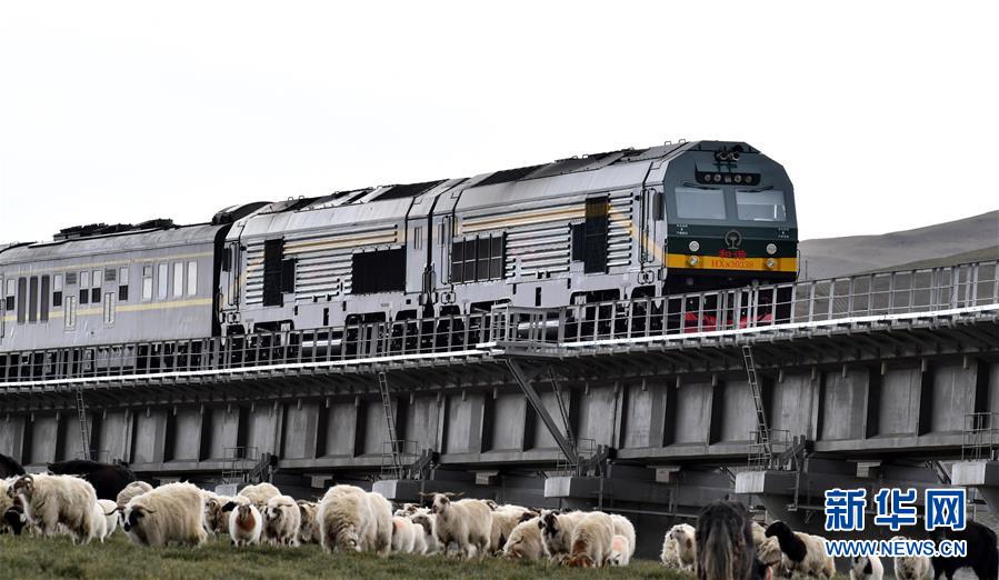 (新華全媒頭條·壯麗70年·奮斗新時代·圖文互動)(12)開拓雪域高原的夢想之路——來自青藏鐵路的蹲點報告