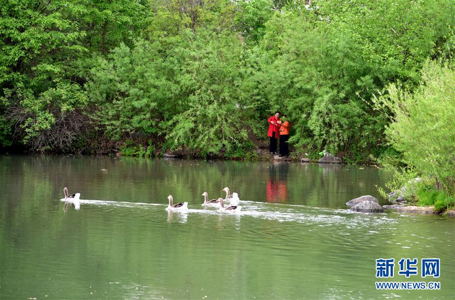 （在習近平新時代中國特色社會主義思想指引下&mdash;&mdash;新時代新作為新篇章&middot;圖文互動）（4）在這里，遇見&ldquo;詩和遠方&rdquo;&mdash;&mdash;長白山下&ldquo;第一鎮(zhèn)&rdquo;的全域旅游實踐