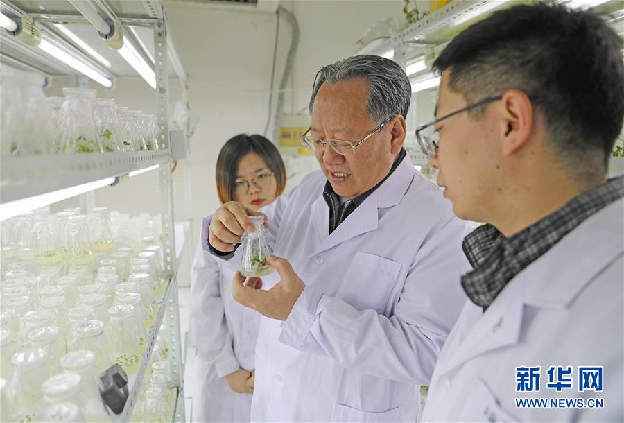 (新華全媒頭條·圖文互動(dòng))(1)和蔬菜“說話”的人——中國工程院院士李天來的“棚菜人生”