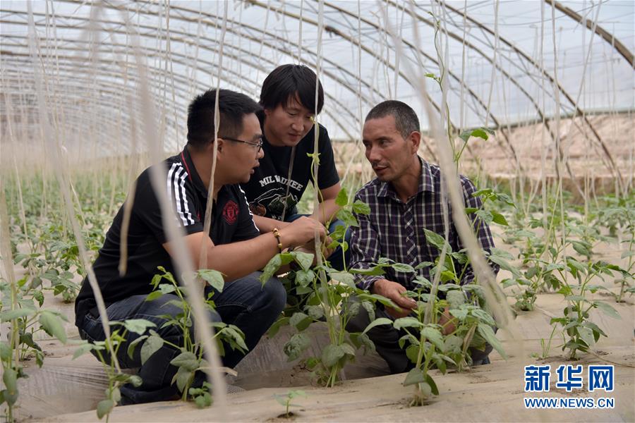 （新華全媒頭條&middot;圖文互動）（10）同心援疆，&ldquo;壯闊&rdquo;祖國西北角
