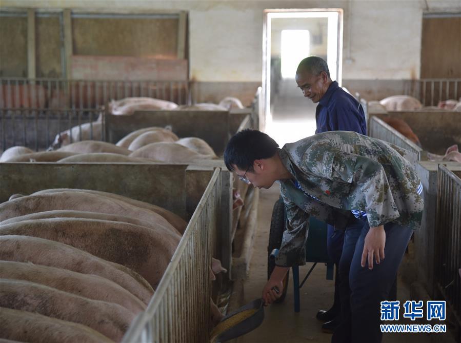 (新華全媒頭條·圖文互動)(2)咱們村里的年輕人——記奮戰(zhàn)在貴州脫貧攻堅(jiān)一線的青年