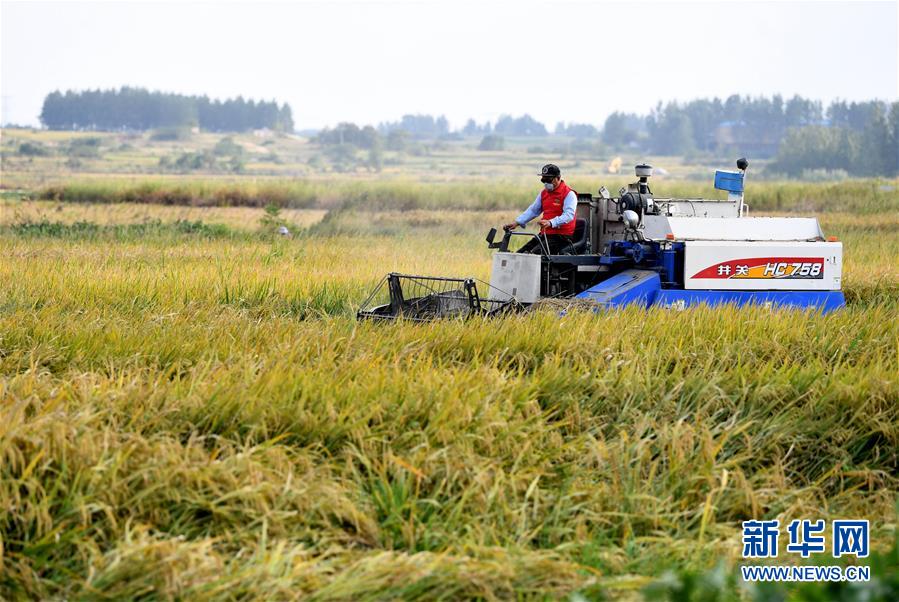 （壯麗70年&middot;奮斗新時(shí)代&mdash;&mdash;共和國(guó)發(fā)展成就巡禮&middot;圖文互動(dòng)）（3）安徽70年：改革創(chuàng)新書寫時(shí)代答卷