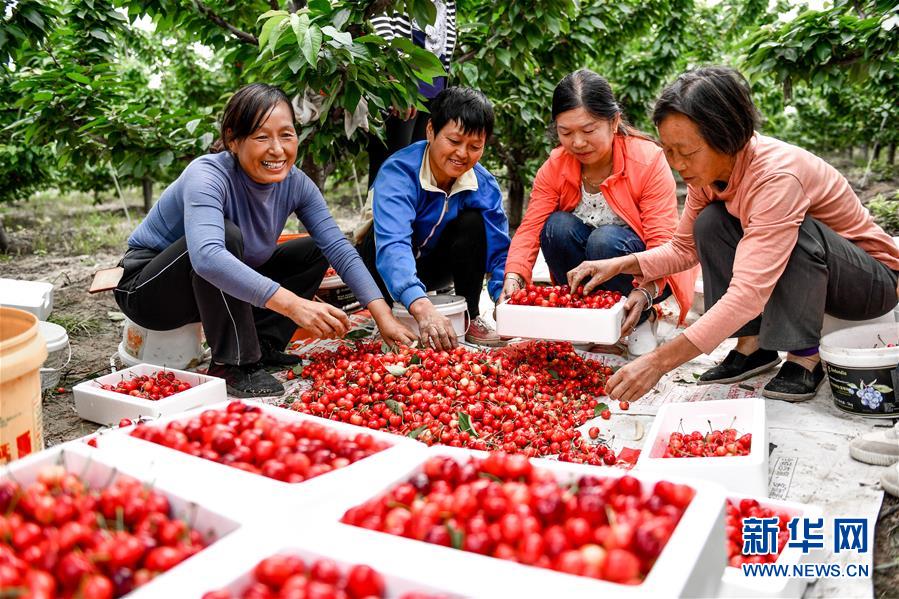 (在習(xí)近平新時代中國特色社會主義思想指引下——新時代新作為新篇章·圖文互動)(2)中條山下綠意濃——一個“資源窮縣”的生態(tài)發(fā)展之路