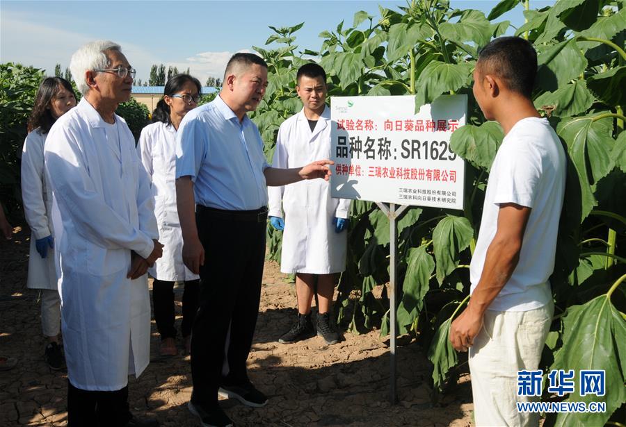（愛國情 奮斗者&middot;圖片互動）（3）張永平：像打造&ldquo;中國芯&rdquo;一樣打造&ldquo;中國葵&rdquo;