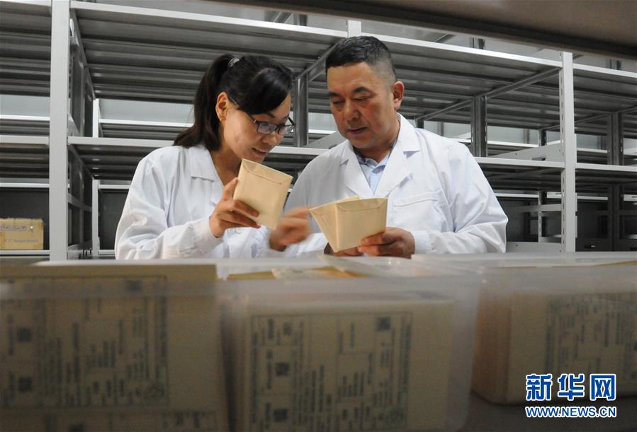 （愛國情 奮斗者&middot;圖片互動）（2）張永平：像打造&ldquo;中國芯&rdquo;一樣打造&ldquo;中國葵&rdquo;