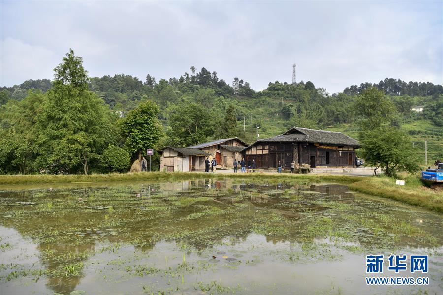 （來自一線的調(diào)查報(bào)告&middot;圖文互動(dòng)）（2）利益聯(lián)結(jié)強(qiáng)產(chǎn)業(yè)　打通城鄉(xiāng)促振興&mdash;&mdash;重慶涪陵大順鄉(xiāng)鄉(xiāng)村振興觀察