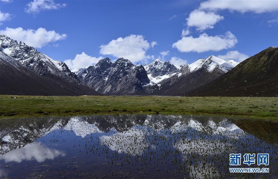 （今日關(guān)注&middot;第一屆國家公園論壇&middot;圖文互動）（6）首個國家公園什么樣？專家?guī)阆?ldquo;睹&rdquo;為快