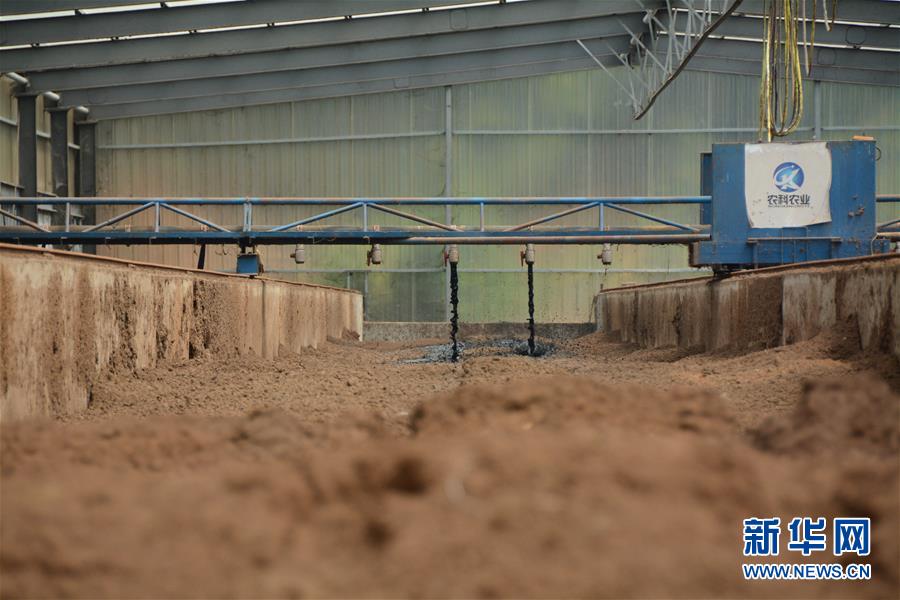 （在習(xí)近平新時(shí)代中國特色社會(huì)主義思想指引下&mdash;&mdash;新時(shí)代新作為新篇章&middot;總書記關(guān)心的百姓身邊事&middot;圖文互動(dòng)）（5）大污染變身&ldquo;大寶藏&rdquo;：治理畜禽糞污，他們這樣干！