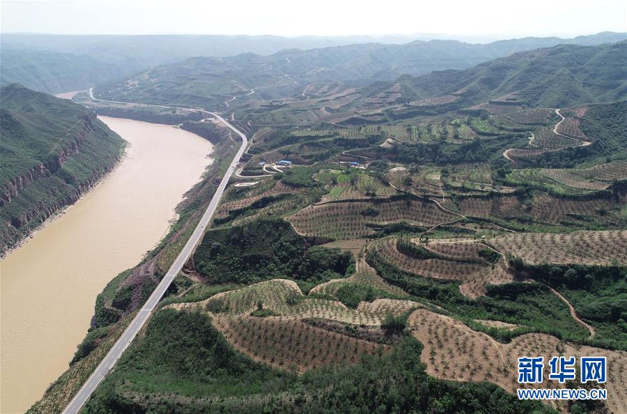 (圖文互動(dòng))(2)荒土換青山 林海淘真金——延安退耕還林20載造就綠色奇跡
