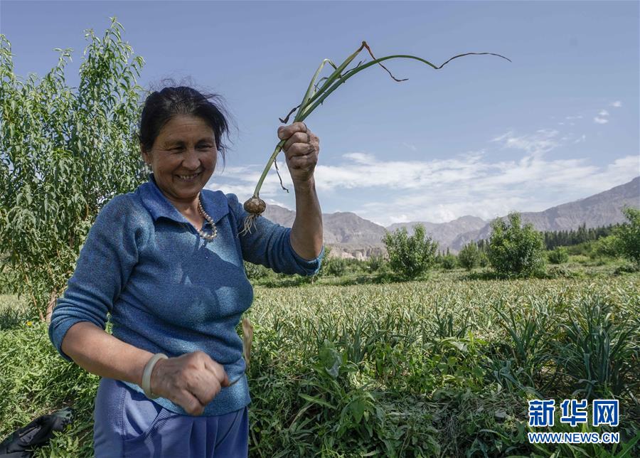 （決戰(zhàn)決勝脫貧攻堅&middot;圖文互動）（1）記者手記：尋訪昆侖&ldquo;桃花源&rdquo;的&ldquo;祛病&rdquo;良方
