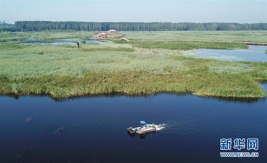 （壯麗70年&middot;奮斗新時(shí)代&middot;重溫囑托看變化&middot;圖文互動(dòng)）（4）雄安新區(qū)：錨定高質(zhì)量發(fā)展　奮力書寫新時(shí)代答卷
