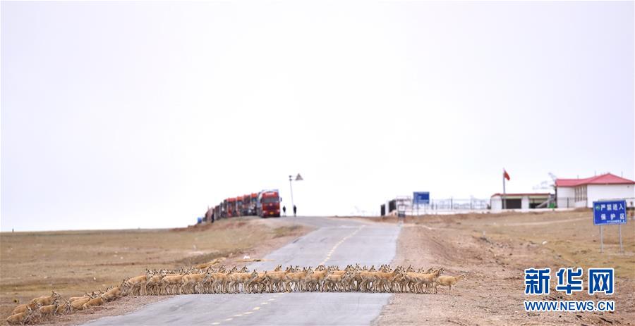 （新華全媒頭條&middot;圖文互動）（4）確保&ldquo;中華水塔&rdquo;碧水東流&mdash;&mdash;中國三江源生態(tài)保護(hù)報告
