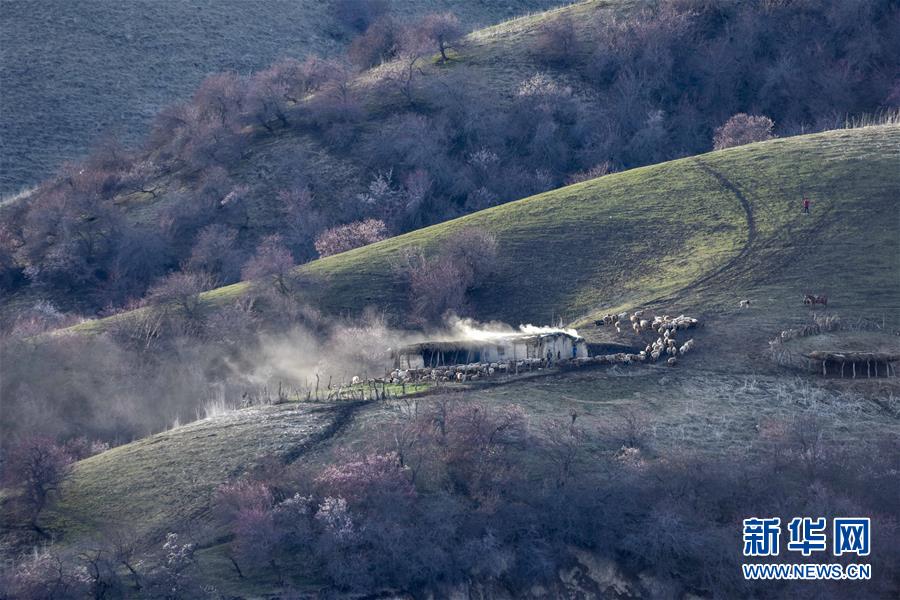 （北京世園會）（17）生態(tài)中國&middot;壯美山河瞰新疆