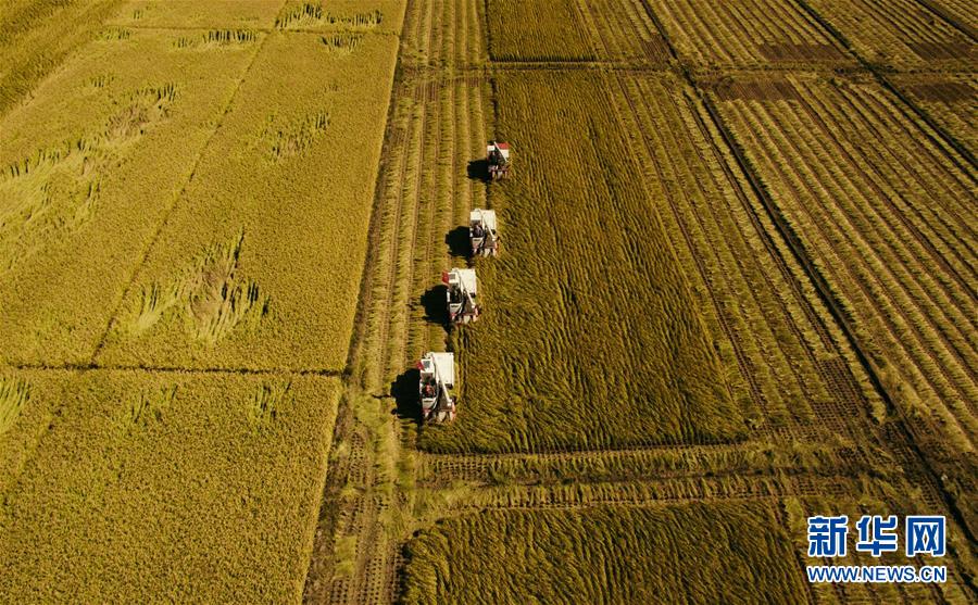 （新華全媒頭條&middot;圖文互動(dòng)）（5）紅色的傳承，藍(lán)圖的起點(diǎn)&mdash;&mdash;新中國孕育與發(fā)展的&ldquo;東北記憶&rdquo;