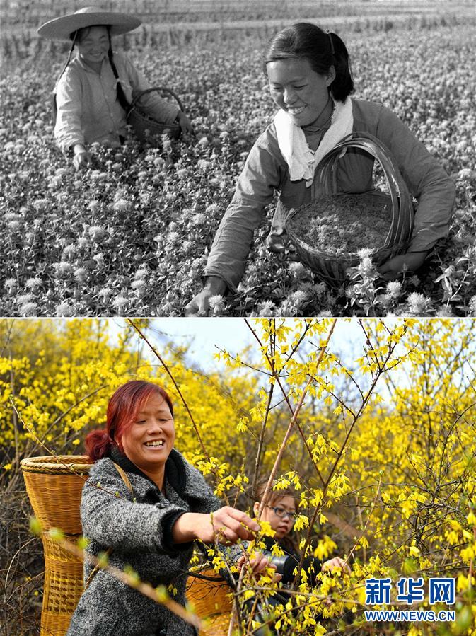 （壯麗70年&middot;奮斗新時代）（3）70年時光流影 70行見證發(fā)展