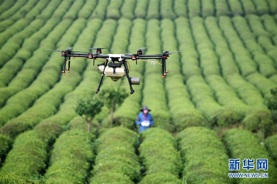 （全面深化改革&middot;圖文互動）（6）&ldquo;減&rdquo;出效益 &ldquo;融&rdquo;出特色 &ldquo;服&rdquo;出動力&mdash;&mdash;貴州推進農(nóng)村產(chǎn)業(yè)結(jié)構(gòu)調(diào)整觀察