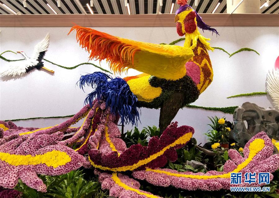 (圖文互動)(3)上千個中外菊花參賽作品亮相北京世園會