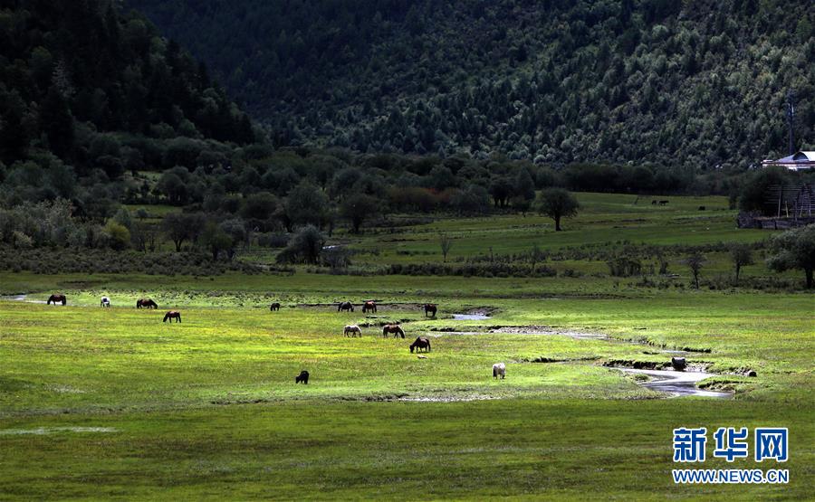 (新華全媒頭條·決戰(zhàn)決勝脫貧攻堅(jiān)·圖文互動(dòng))(7)為了人與自然和諧共生——云南“三江并流”地區(qū)決戰(zhàn)精準(zhǔn)脫貧的“生態(tài)畫卷”