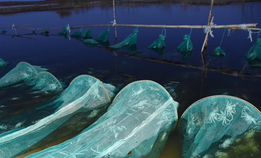 （在習(xí)近平新時代中國特色社會主義思想指引下&mdash;&mdash;新時代新作為新篇章&middot;總書記關(guān)心的百姓身邊事&middot;圖文互動）（2）水潤民心&mdash;&mdash;全國農(nóng)村飲水安全攻堅成效觀察