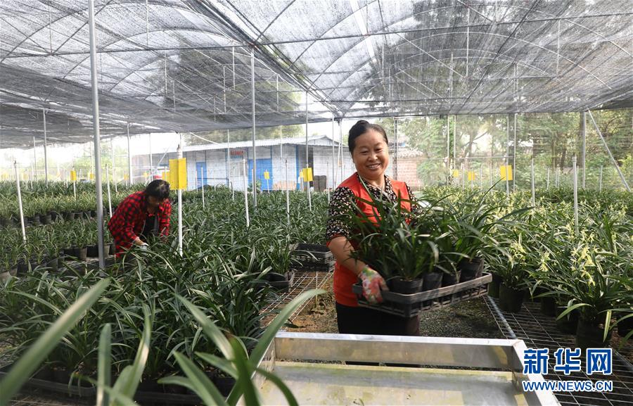 （在習近平新時代中國特色社會主義思想指引下&mdash;&mdash;新時代新作為新篇章&middot;總書記關(guān)心的百姓身邊事&middot;圖文互動）（2）&ldquo;科技秀才&rdquo;給田野帶來新希望