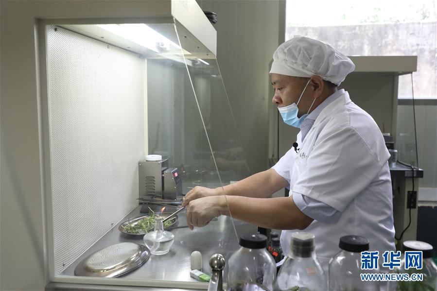 （在習近平新時代中國特色社會主義思想指引下&mdash;&mdash;新時代新作為新篇章&middot;總書記關(guān)心的百姓身邊事&middot;圖文互動）（5）&ldquo;科技秀才&rdquo;給田野帶來新希望