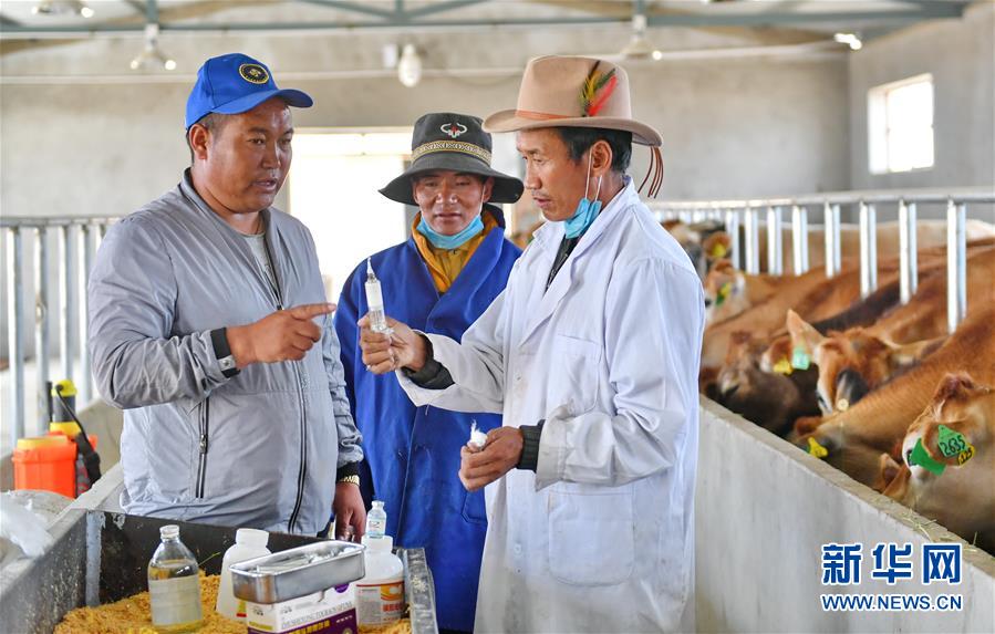 （新華全媒頭條&middot;決戰(zhàn)決勝脫貧攻堅(jiān)&middot;圖文互動）（4）歷史的決戰(zhàn)　偉大的創(chuàng)舉&mdash;&mdash;&ldquo;世界屋脊&rdquo;上的反貧困奇跡 