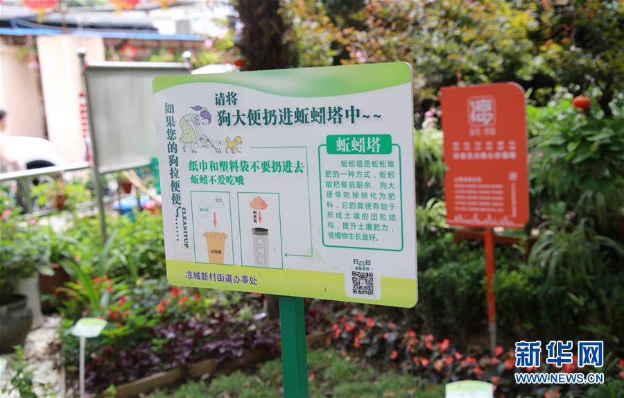 （新華全媒頭條&middot;圖文互動(dòng)）（5）上海：&ldquo;三只桶&rdquo;里看變化