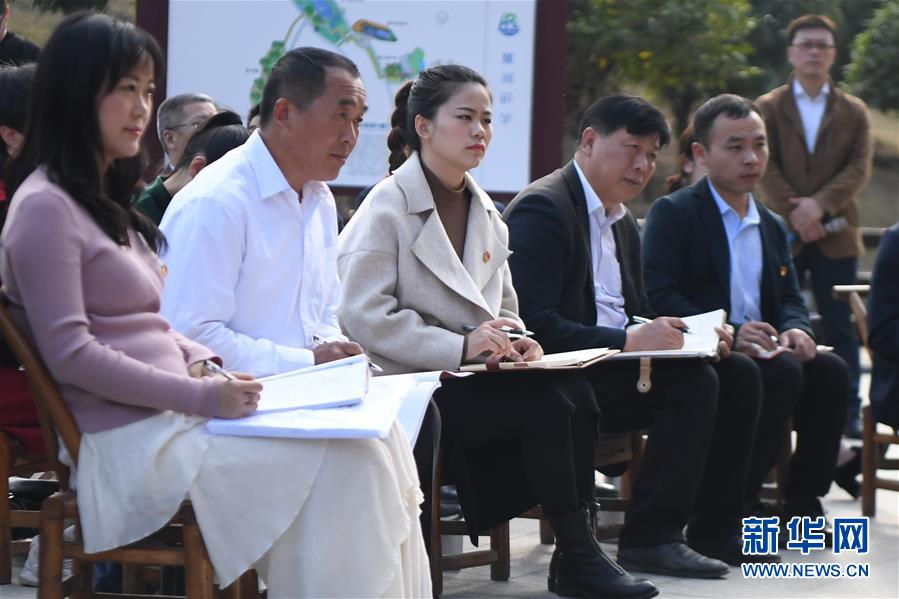 （四中全會(huì)精神在基層&middot;圖文互動(dòng)）（4）學(xué)習(xí)貫徹黨的十九屆四中全會(huì)精神中央宣講團(tuán)在湖南宣講