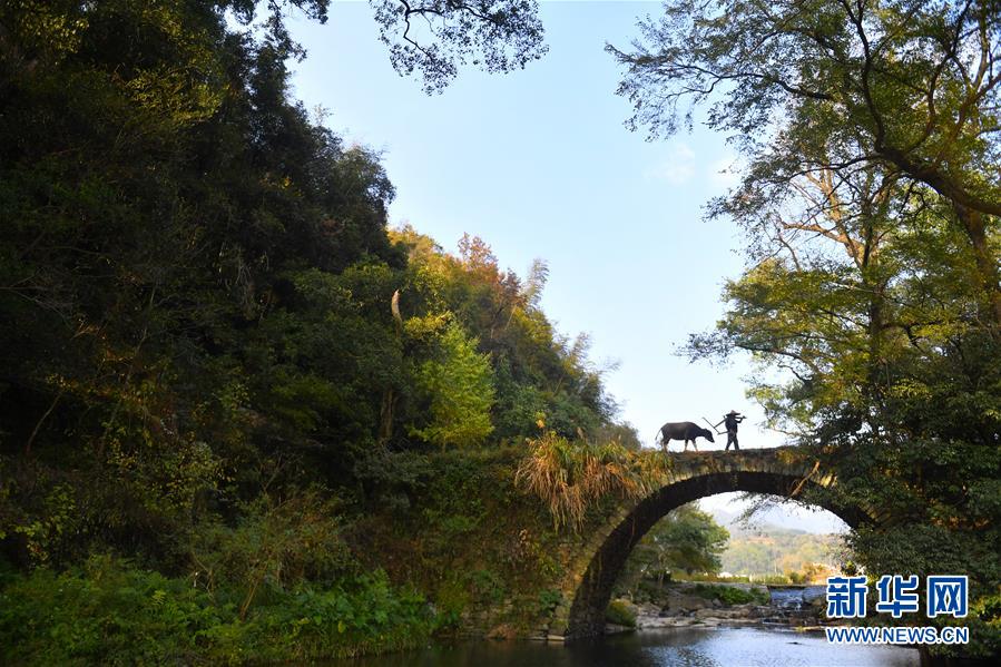 （圖文互動(dòng)）（3）鄉(xiāng)村攝影師、鄉(xiāng)村&ldquo;模特&rdquo;、民宿店主&mdash;&mdash;鄉(xiāng)村旅游推動(dòng)婺源農(nóng)民生活方式發(fā)生新變化