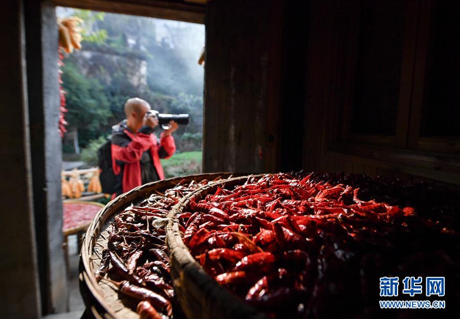 （圖文互動(dòng)）（6）鄉(xiāng)村攝影師、鄉(xiāng)村&ldquo;模特&rdquo;、民宿店主&mdash;&mdash;鄉(xiāng)村旅游推動(dòng)婺源農(nóng)民生活方式發(fā)生新變化