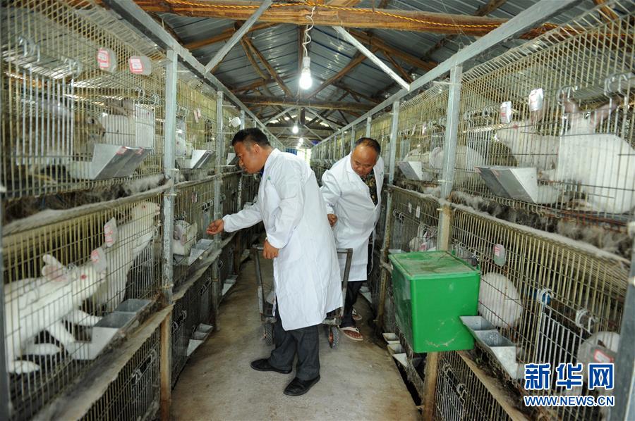 （新華全媒頭條&middot;圖文互動(dòng)）（4）干部去哪兒了？&mdash;&mdash;貴州干部大規(guī)模下沉脫貧攻堅(jiān)一線紀(jì)實(shí)