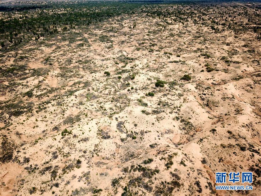 （圖文互動(dòng)）（2）陜西榆林毀林建光伏電站追蹤：還有哪些疑團(tuán)有待破解？ 