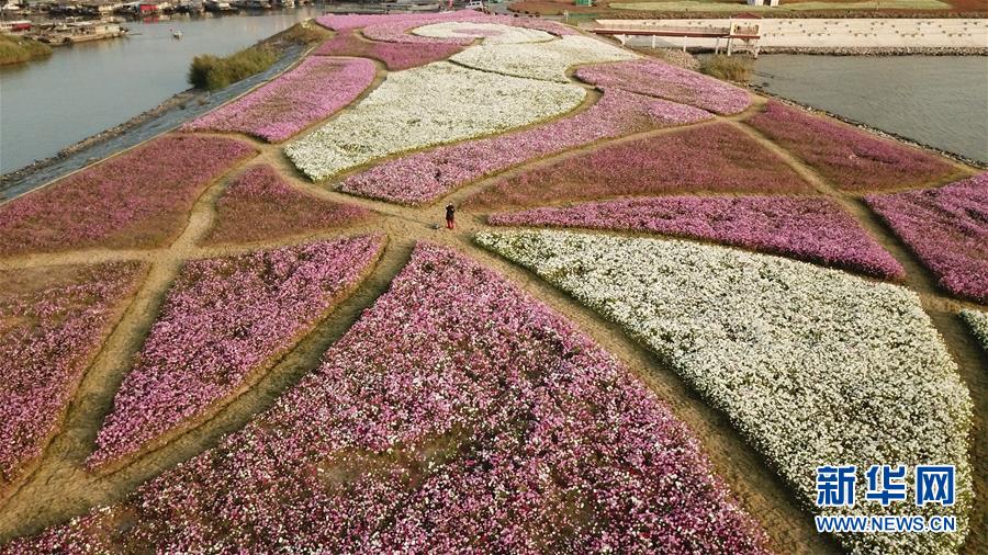 （新華全媒頭條&middot;圖文互動(dòng)）（5）大湖見證&mdash;&mdash;長(zhǎng)三角三大淡水湖綠色發(fā)展之路