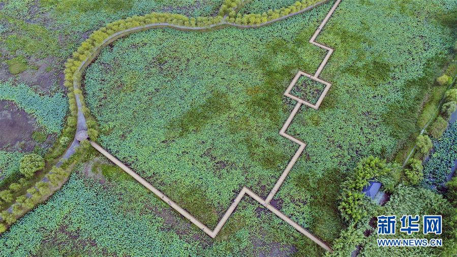 （新華全媒頭條&middot;圖文互動(dòng)）（9）大湖見證&mdash;&mdash;長(zhǎng)三角三大淡水湖綠色發(fā)展之路