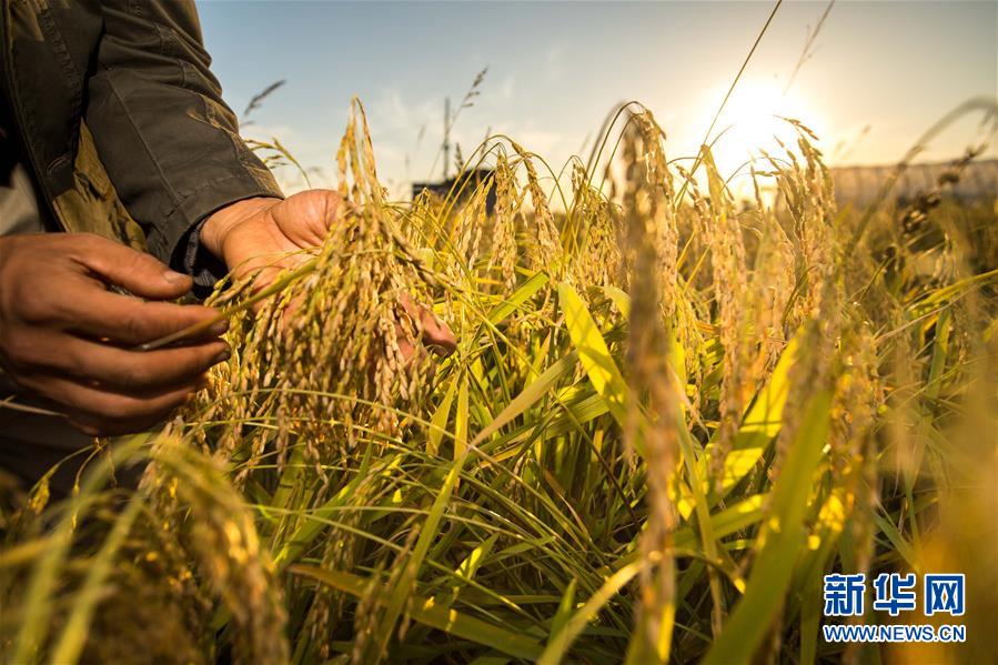 （新華全媒頭條&middot;兩會特別報(bào)道&middot;圖文互動）（2）開拓更加寬廣的高質(zhì)量發(fā)展前景&mdash;&mdash;從全國兩會看奮進(jìn)中國的堅(jiān)定步伐