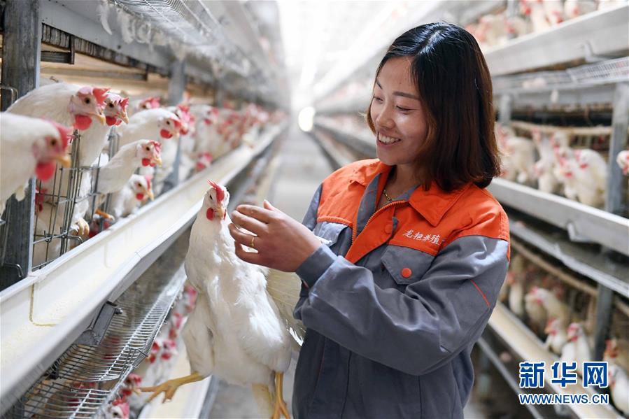 （新華全媒頭條&middot;兩會特別報道&middot;圖文互動）（6）在推進高質(zhì)量發(fā)展中創(chuàng)造廣闊空間&mdash;&mdash;從全國兩會看奮進中國的發(fā)展機遇