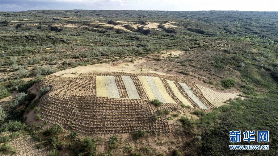 （在習(xí)近平新時(shí)代中國特色社會主義思想指引下&mdash;&mdash;新時(shí)代新作為新篇章&middot;總書記關(guān)切高質(zhì)量發(fā)展&middot;圖文互動）（1）從一粒沙看不斷擴(kuò)大的中國綠色版圖