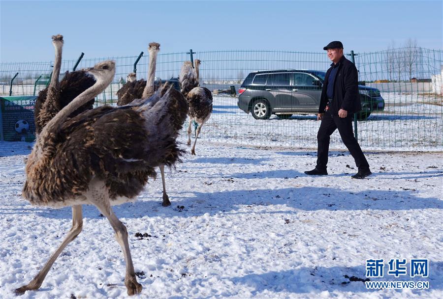 （新春走基層&middot;圖文互動(dòng)）（3）&ldquo;貨郎干部&rdquo;扶貧記