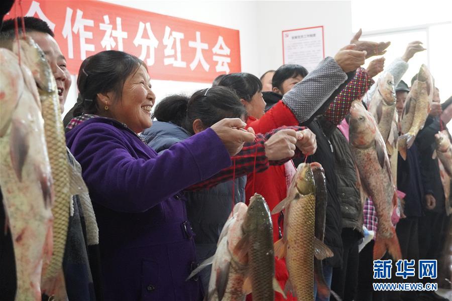 （新春走基層&middot;圖文互動(dòng)）（3）&ldquo;空殼村&rdquo;分紅啦！