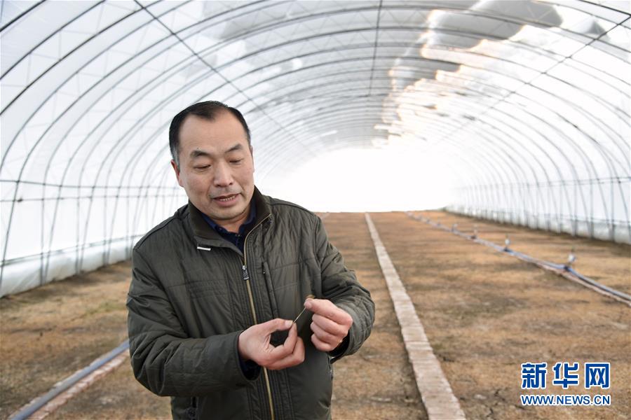 （新春走基層&middot;圖文互動(dòng)）（2）大興安嶺南麓的春天之二：&ldquo;朱大喇叭&rdquo;吼出脫貧&ldquo;幸福草&rdquo;