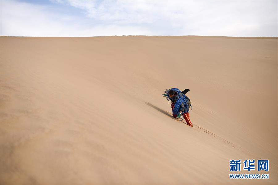（新春走基層&middot;圖文互動）（3）寒冬里，&ldquo;沙漠玫瑰&rdquo;猶自綻放