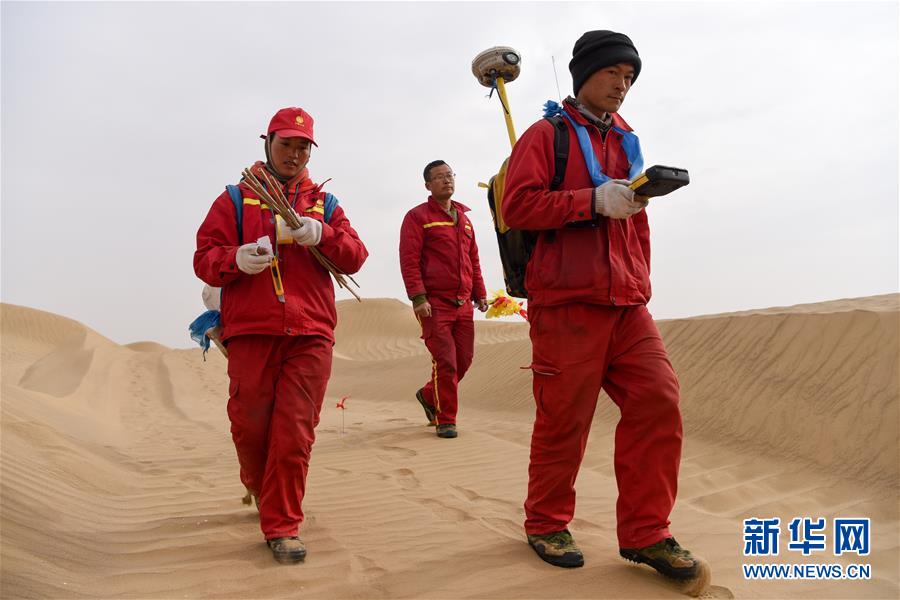 （新春走基層&middot;圖文互動）（14）寒冬里，&ldquo;沙漠玫瑰&rdquo;猶自綻放