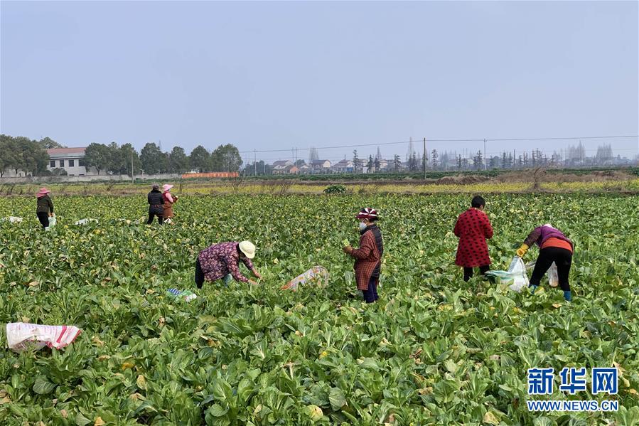 (新華全媒頭條·圖文互動)(4)努力保持生產(chǎn)生活平穩(wěn)有序——抓緊復(fù)工復(fù)產(chǎn)穩(wěn)定經(jīng)濟(jì)運行掃描