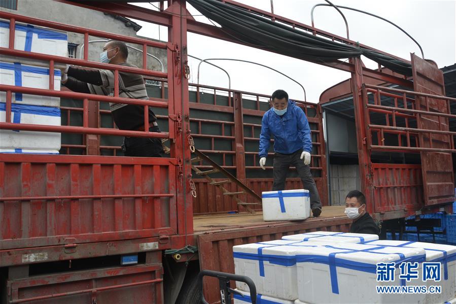 (做好六穩(wěn)工作 應對復雜局面·圖文互動)(3)穩(wěn)住“菜籃子” 守住“好日子”