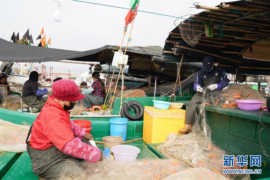 （圖文互動）（2）與疫情抗爭 與春光同行&mdash;&mdash;廣西農(nóng)村春耕備耕一線觀察
