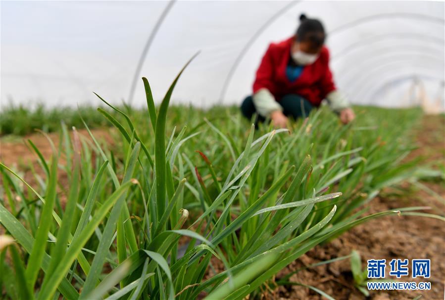 （圖文互動(dòng)）（3）&ldquo;春天到了，熟悉的生活正在慢慢回來(lái)&rdquo;&mdash;&mdash;陜西多地復(fù)產(chǎn)復(fù)工一線見(jiàn)聞