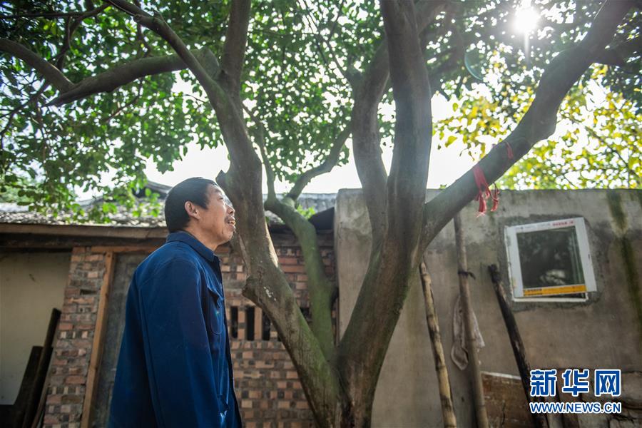 （新華全媒頭條&middot;圖文互動(dòng)）（7）書(shū)寫(xiě)新的轉(zhuǎn)折&mdash;&mdash;寫(xiě)在革命老區(qū)遵義全面脫貧之際