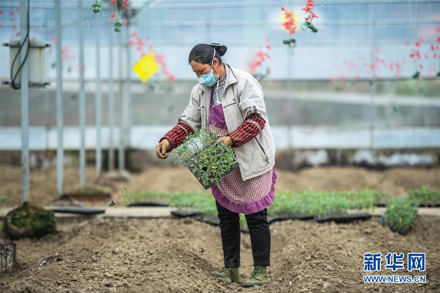 （新華全媒頭條&middot;圖文互動(dòng)）（9）書(shū)寫(xiě)新的轉(zhuǎn)折&mdash;&mdash;寫(xiě)在革命老區(qū)遵義全面脫貧之際