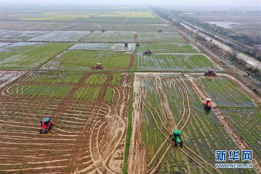 （抓好春耕備耕 穩(wěn)住農(nóng)業(yè)生產(chǎn)&middot;圖文互動）（2）智能農(nóng)機、&ldquo;訂單&rdquo;服務、&ldquo;云端&rdquo;種菜&mdash;&mdash;來自江西的春耕&ldquo;新事&rdquo;