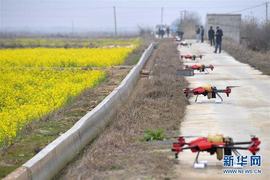 （抓好春耕備耕 穩(wěn)住農(nóng)業(yè)生產(chǎn)&middot;圖文互動）（4）智能農(nóng)機、&ldquo;訂單&rdquo;服務、&ldquo;云端&rdquo;種菜&mdash;&mdash;來自江西的春耕&ldquo;新事&rdquo;